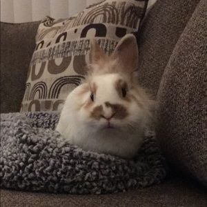 Meet your Posher, Haley